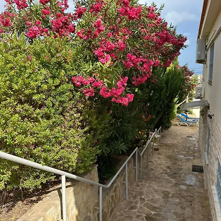 Apartamento En La Con El Territorio Común En Calpe