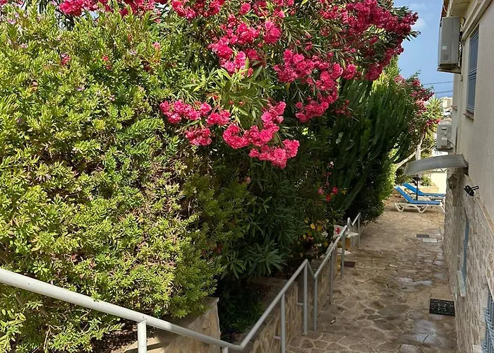 Apartment En La Con El Territorio Comun En Calpe